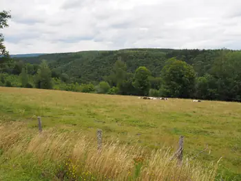 Coulnifontaine (België) (samenvloeiing westelijke en oostelijke Ourthe)